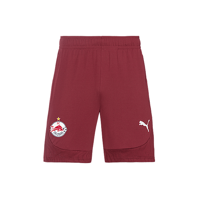 RBS Puma Training Internationale Shorts 24/25