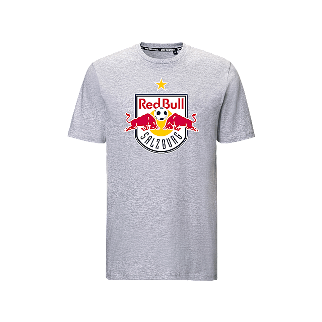 Logo T-Shirt Grau