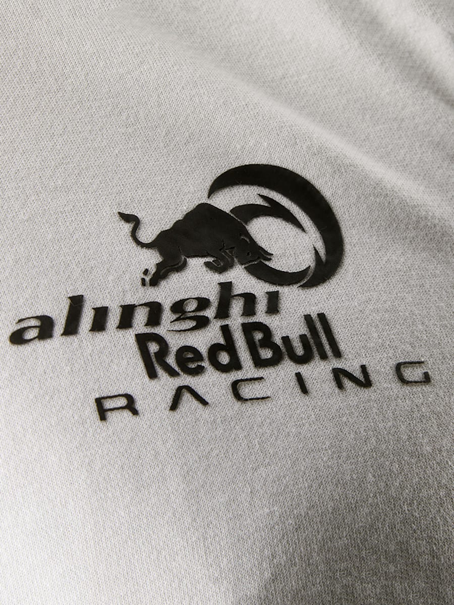 ARBR Challenge Zip Hoodie (ARB23048): Alinghi Red Bull Racing