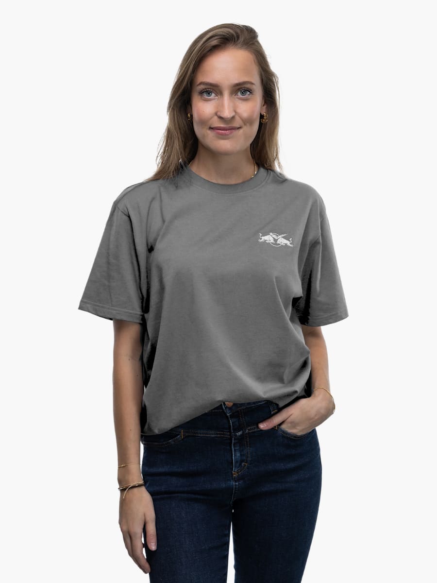 Lifestyle T-Shirt Grey (ECM24073): EHC Red Bull München