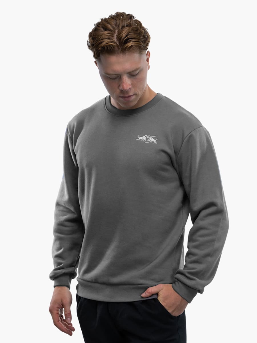 Lifestyle Pullover Grau (ECM24075): EHC Red Bull München