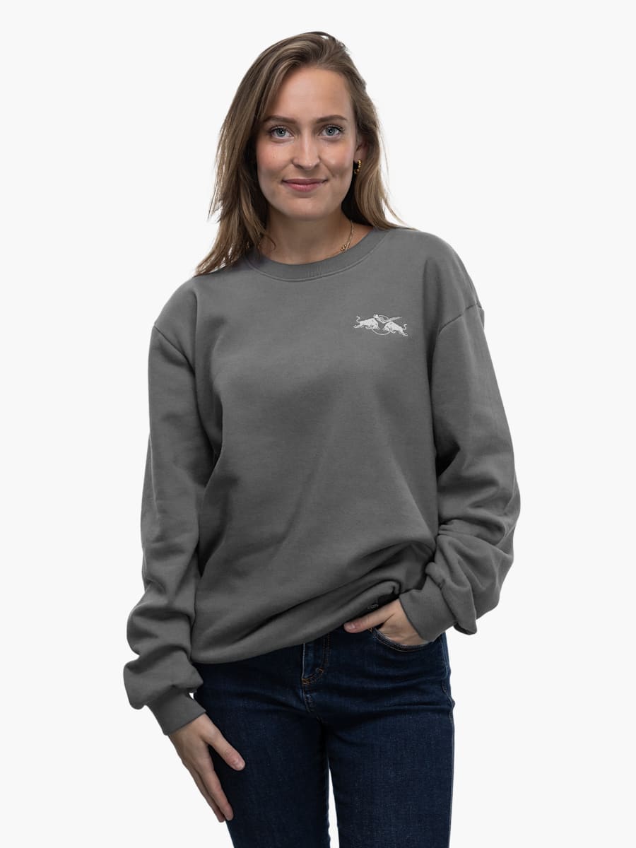 Lifestyle Pullover Grau (ECM24075): EHC Red Bull München