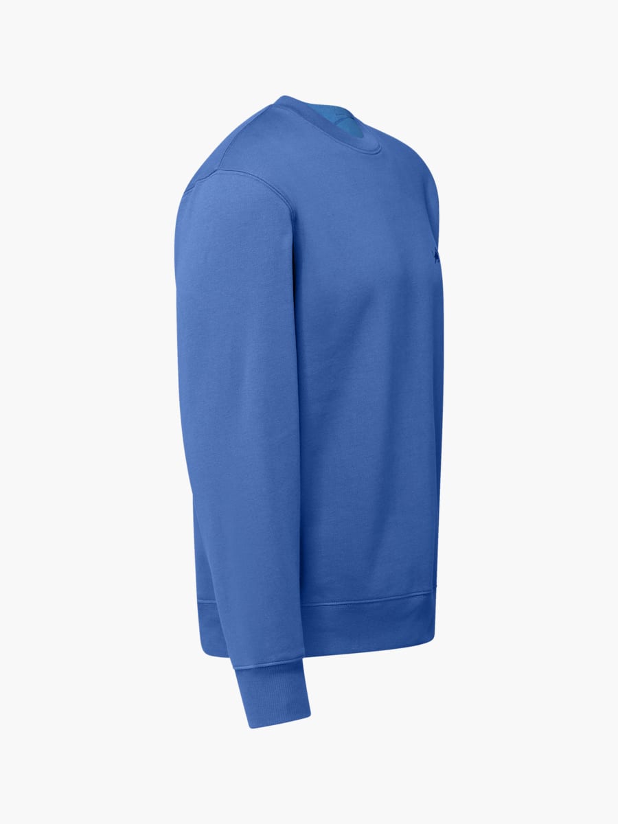 Gear Pullover (M-ECS25011): EC Red Bull Salzburg