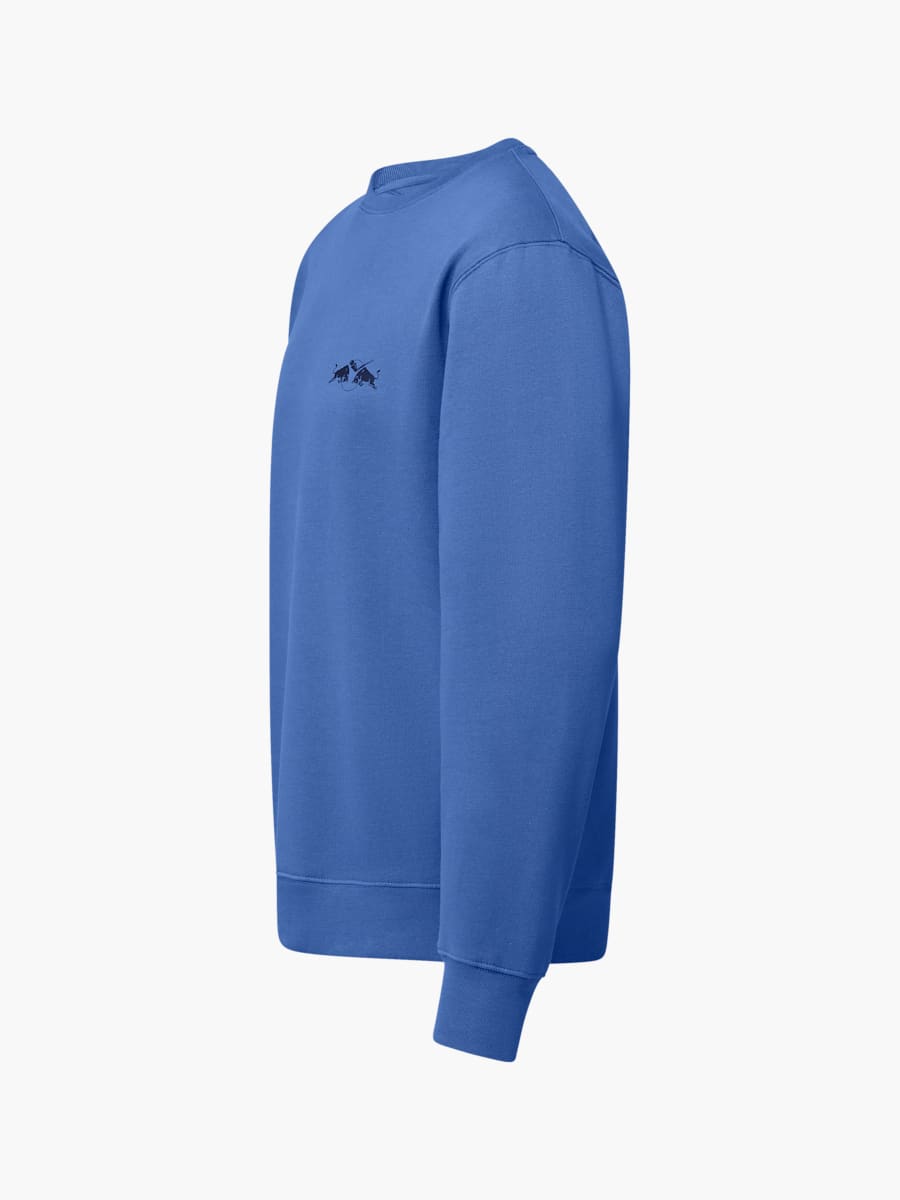 Gear Pullover (M-ECS25011): EC Red Bull Salzburg