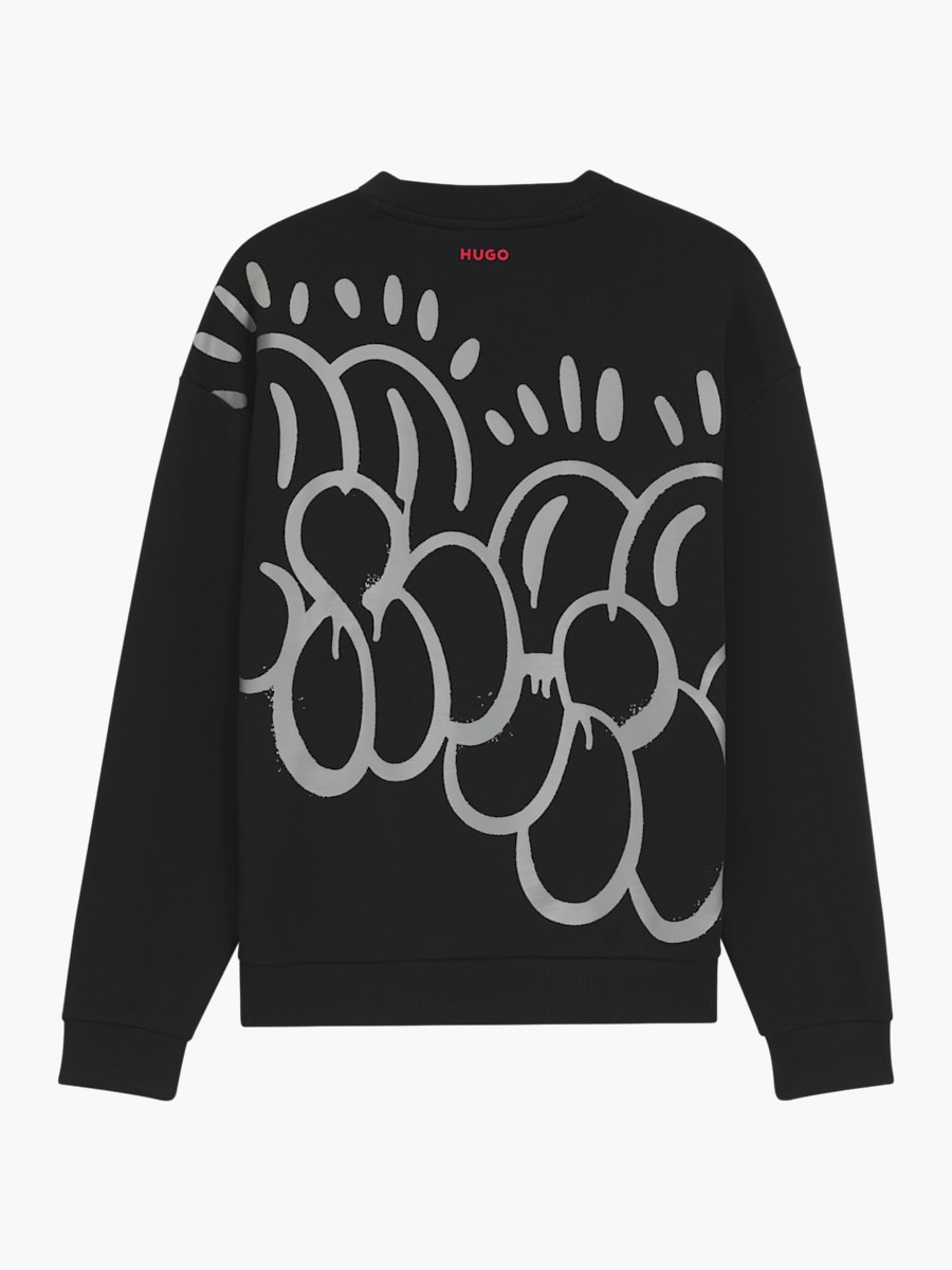 Silverstone GP Sweater (M-RAB25130): Visa Cash App Racing Bulls