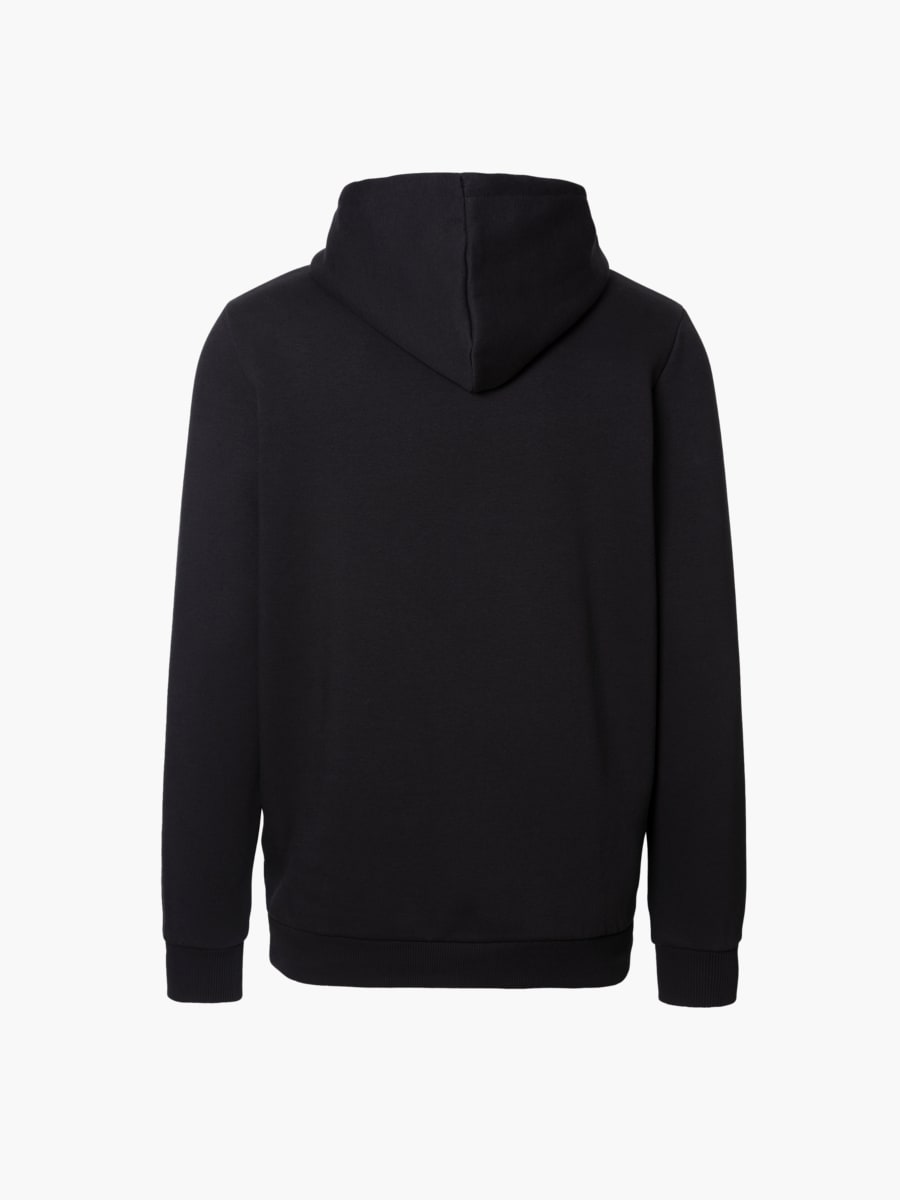 Sonic x puma hoodie sale