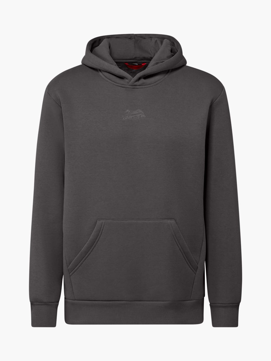 RBL Signature IV Hoodie (M-RBL25117): RB Leipzig