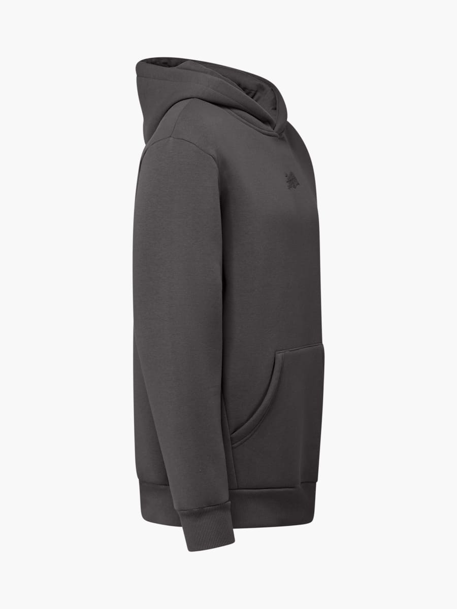 RBL Signature IV Hoodie (M-RBL25117): RB Leipzig