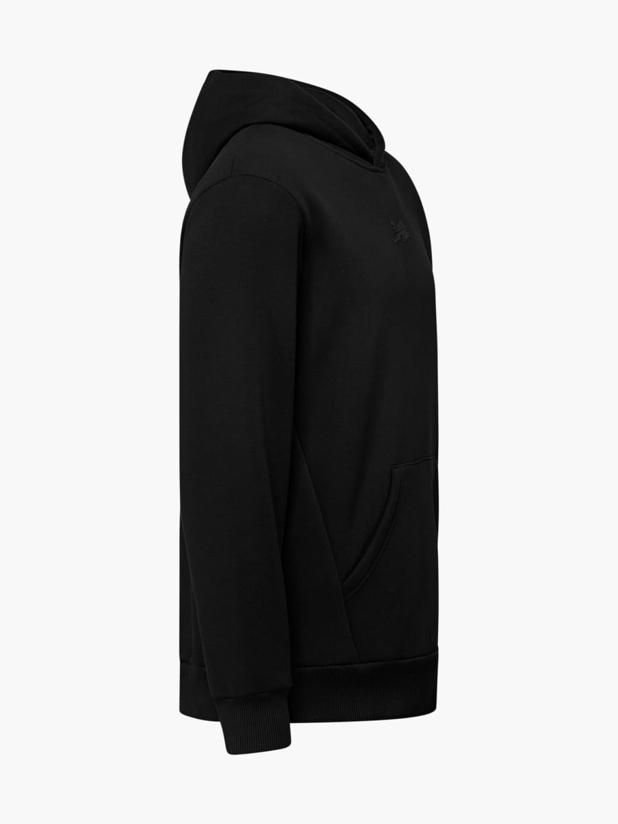 RBL Signature IV Hoodie (M-RBL25117): RB Leipzig