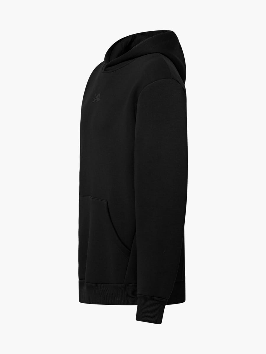 RBL Signature IV Hoodie (M-RBL25117): RB Leipzig