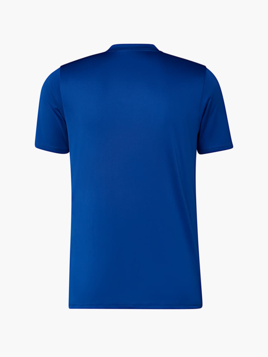 RBLZ PUMA eSports Trikot 25/26 (RBL25027): RB Leipzig