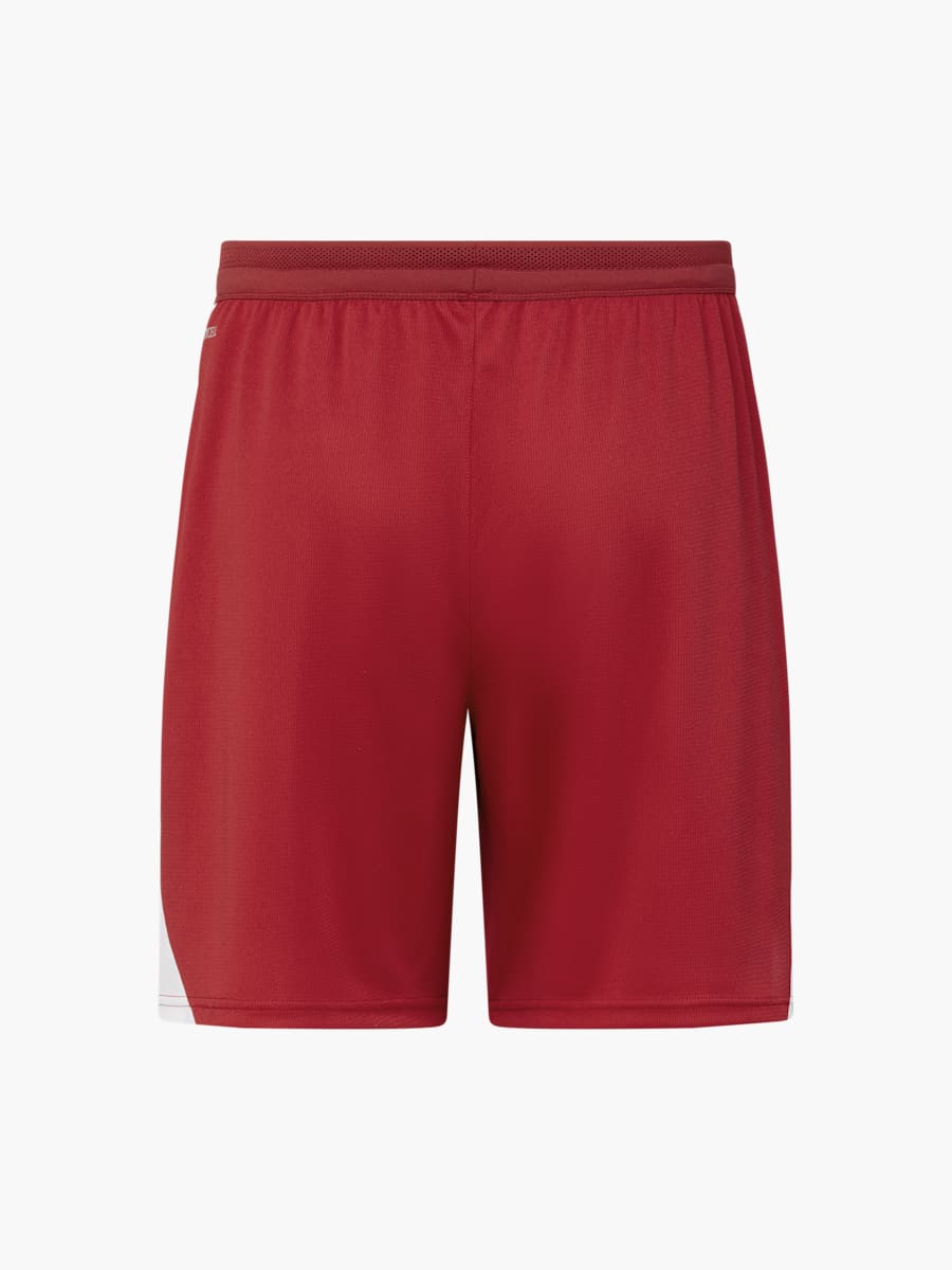 Men RBL PUMA Training Shorts 26/27 (M-RBL26031): RB Leipzig