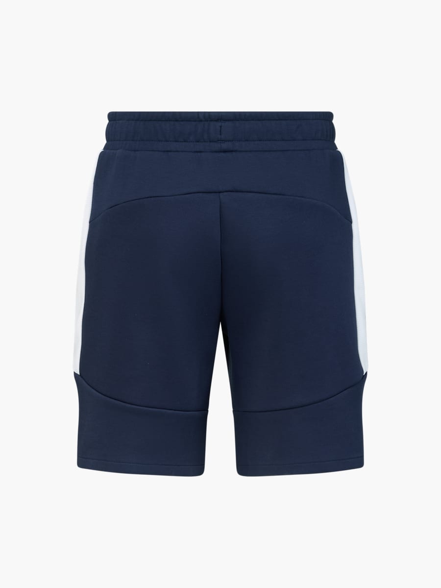 Men RBL PUMA Evostripe Shorts 26/27 (M-RBL26044): RB Leipzig