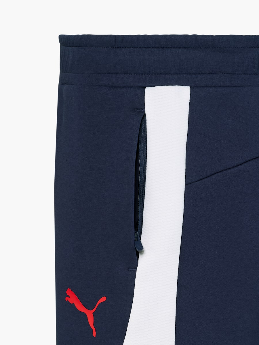 Herren RBL PUMA Evostripe Shorts 26/27 (M-RBL26044): RB Leipzig