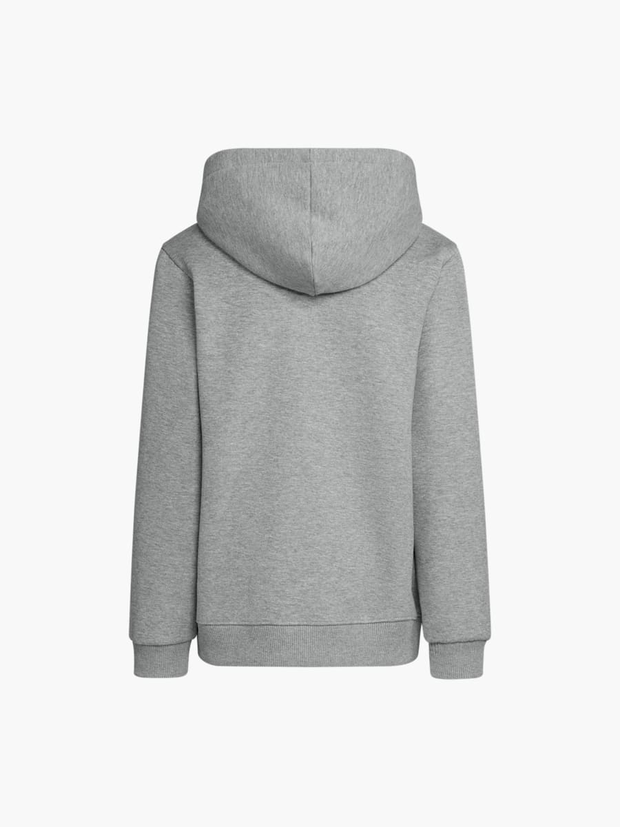 Youth RBL PUMA Essentials Hoodie 26/27 (M-RBL26055): RB Leipzig