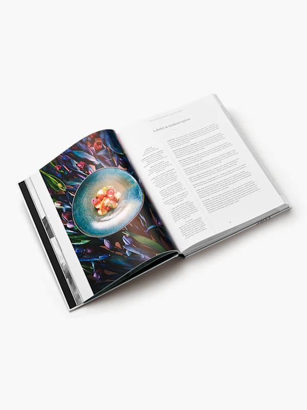 Ikarus Cookbook Vol. 6 (RBM19003): Hangar-7 ikarus-cookbook-vol-6 (image/jpeg)