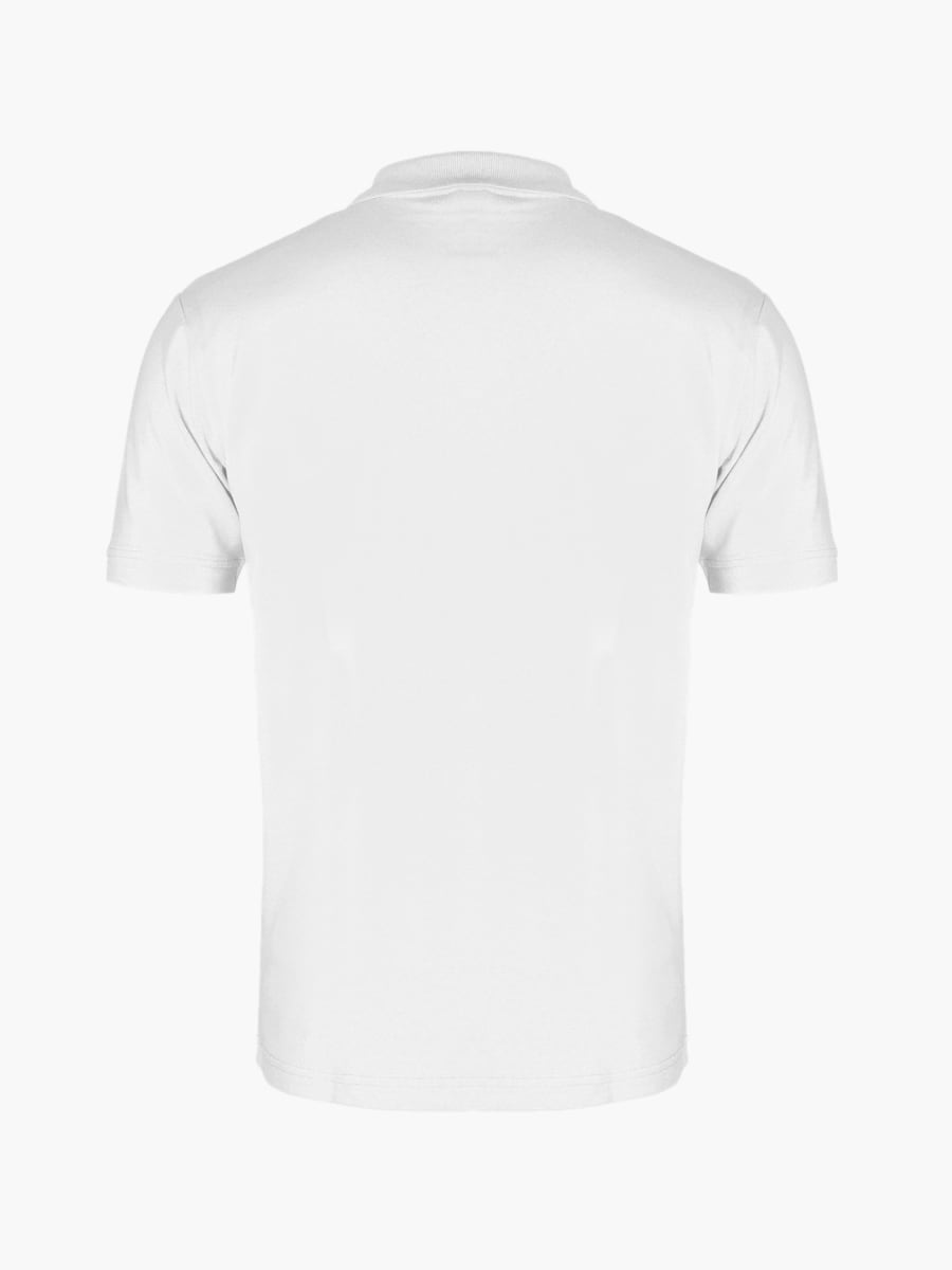 Oracle Red Bull Racing x Ford Polo Shirt (M-RBR26221): Oracle Red Bull Racing