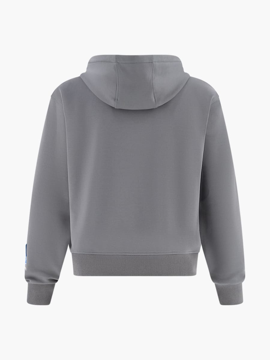 Oracle Red Bull Racing x Ford Zip-Up Hoodie (M-RBR26250): Oracle Red Bull Racing