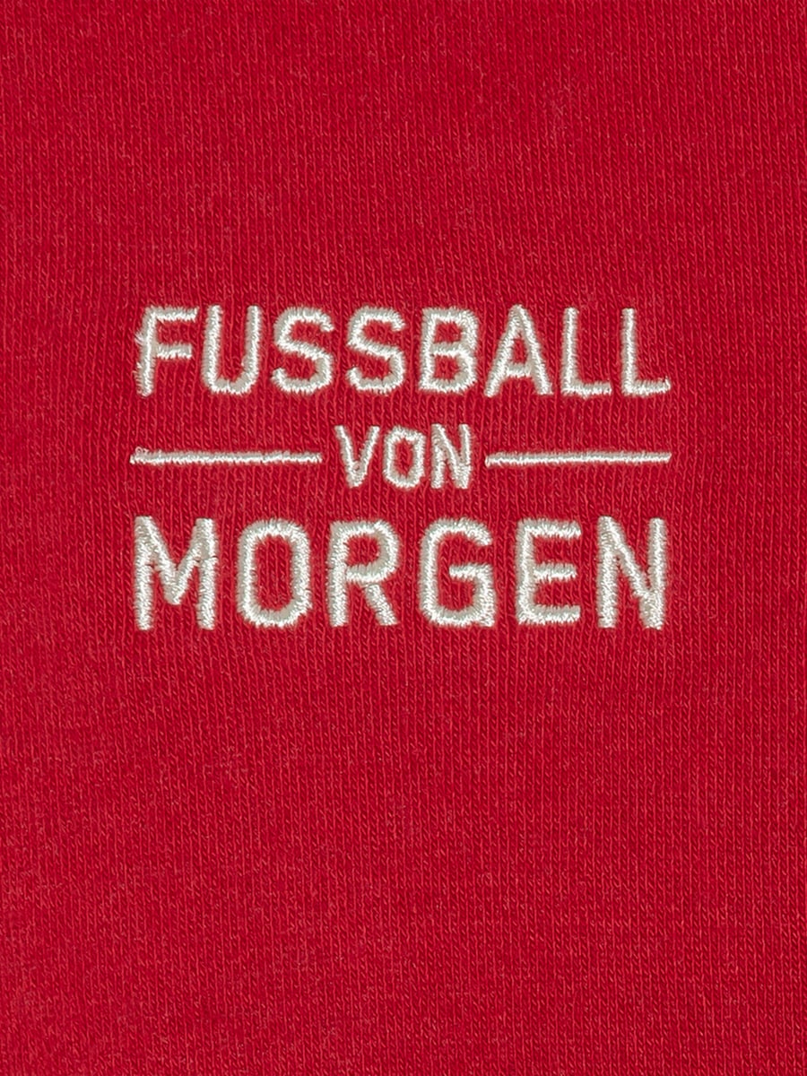 Sweat à capuche RBS Legacy enfant (RBS24071): FC Red Bull Salzburg