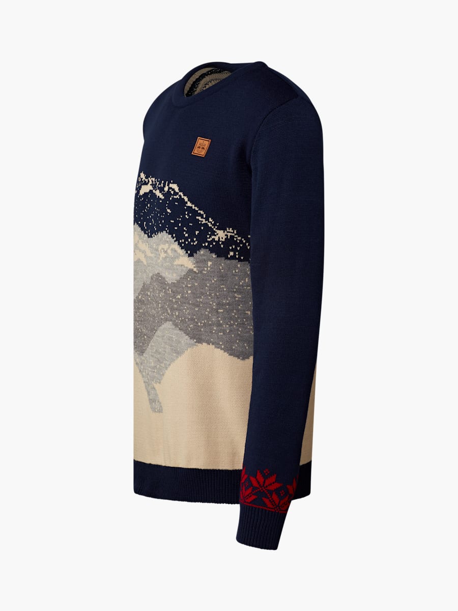 RBS Winter Sweater (M-RBS25120): FC Red Bull Salzburg