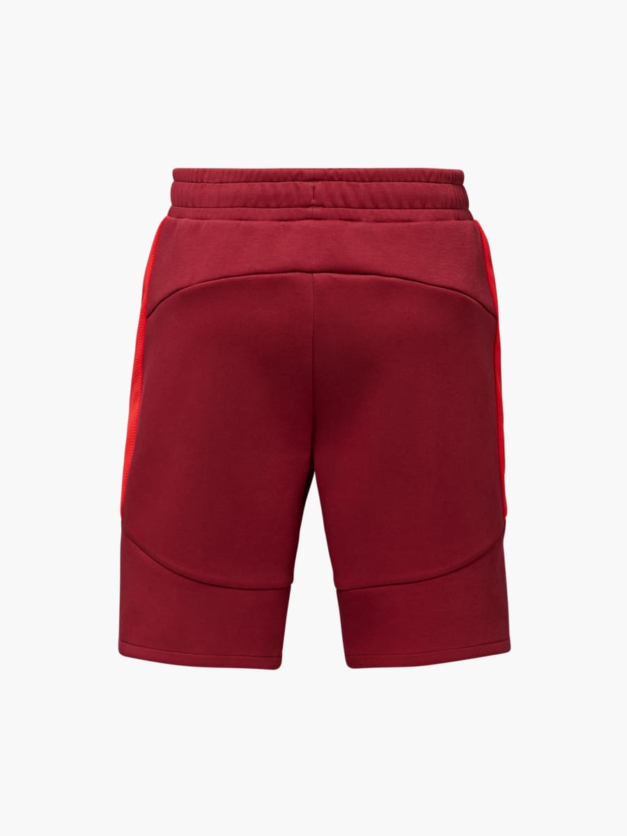 RBS PUMA Evostripe Shorts 25/26 (RBS25039): FC Red Bull Salzburg
