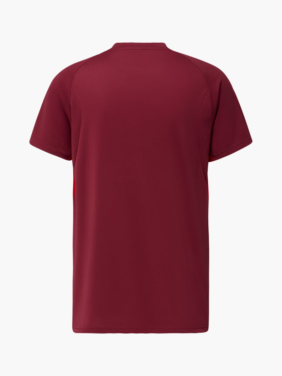 RBS PUMA Evostripe T-Shirt 25/26 (RBS25040): FC Red Bull Salzburg