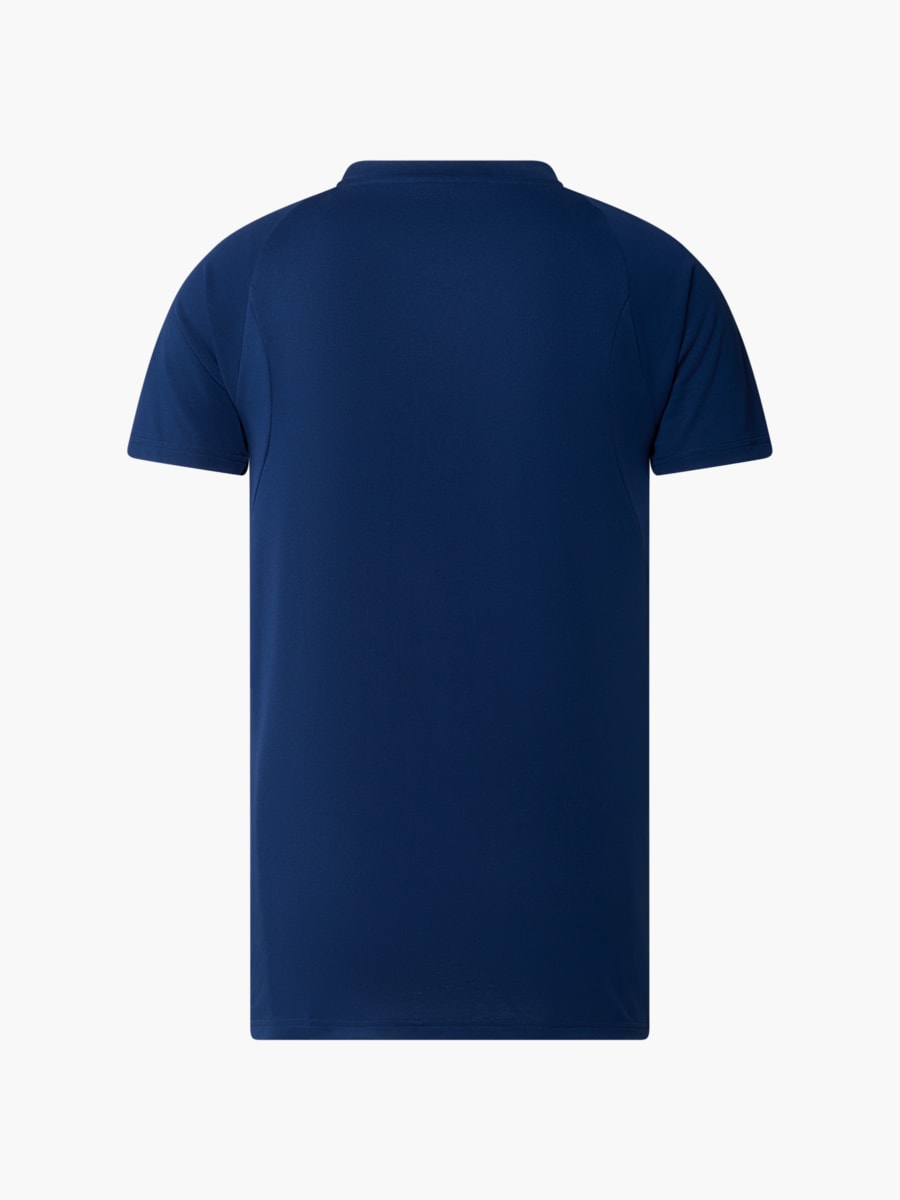 Men RBS PUMA Evostripe T-Shirt 26/27 (M-RBS26036): FC Red Bull Salzburg