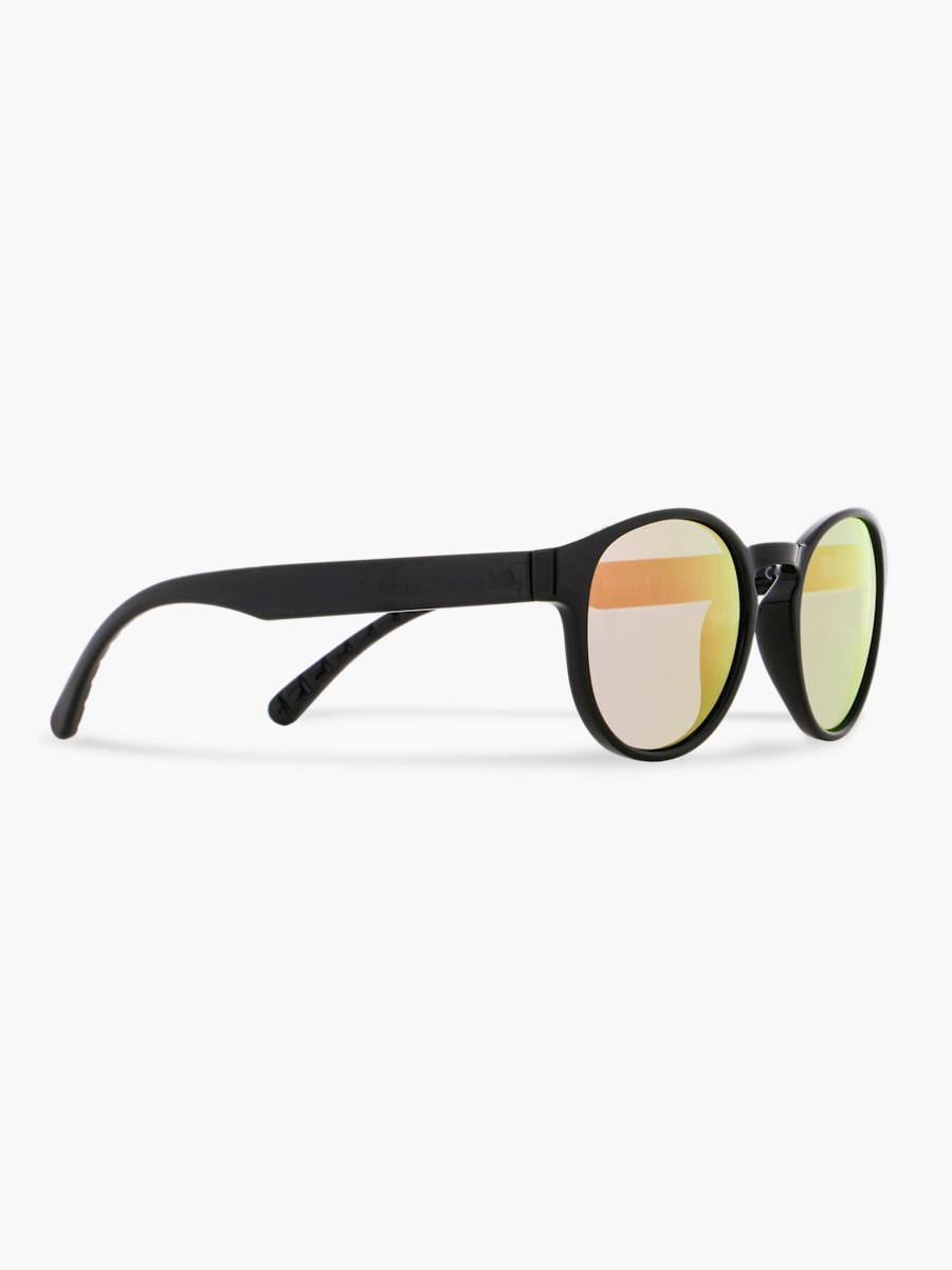 Sunglasses EDEN-002P (SPT24008): Red Bull Spect Eyewear