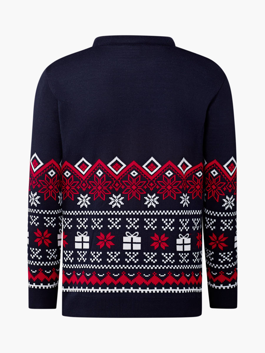 The Flying Bulls Winter Sweater (M-TFB25033): The Flying Bulls
