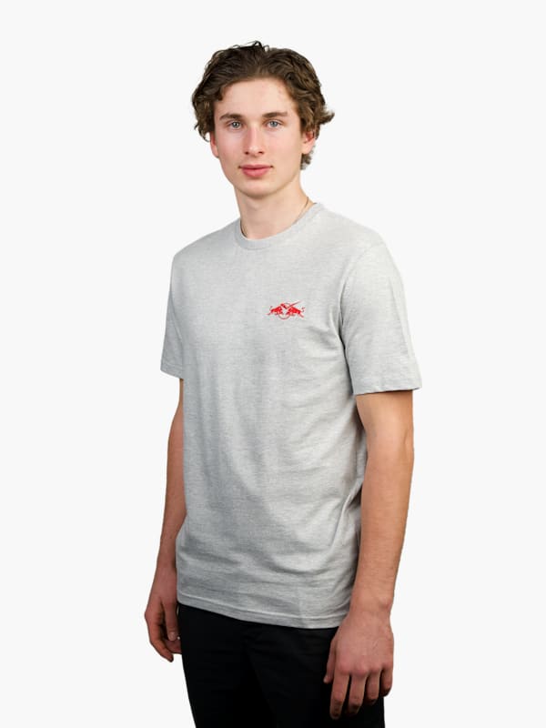 Lifestyle T-Shirt Grey (M-ECM24018): EHC Red Bull München