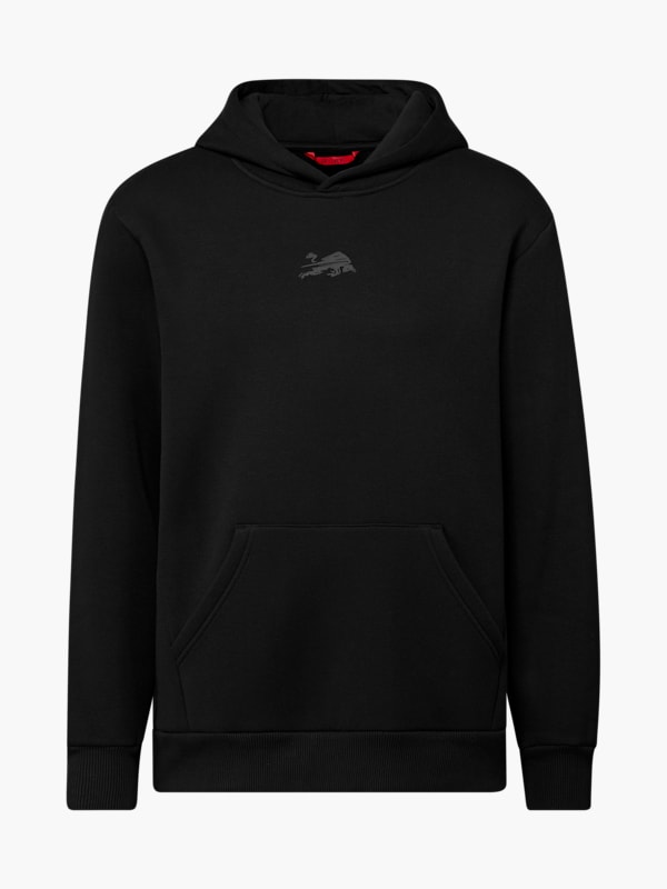 RBL Signature IV Hoodie (M-RBL25117): RB Leipzig