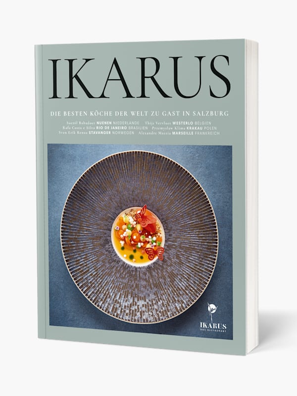 Ikarus DE (M-RBM25005): Red Bull Media