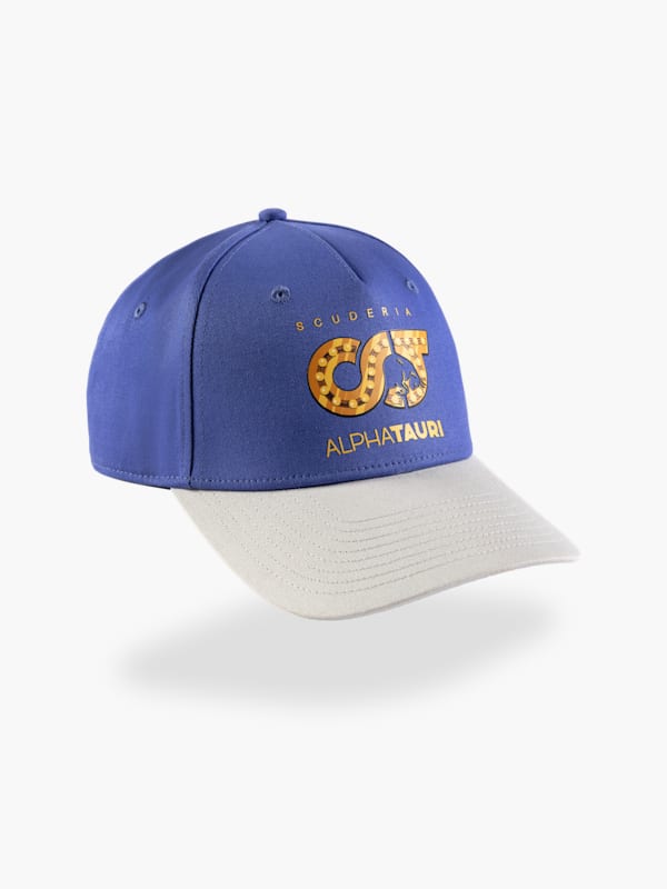 Baseball Cap – Raleigh Enterprises Shop CIC